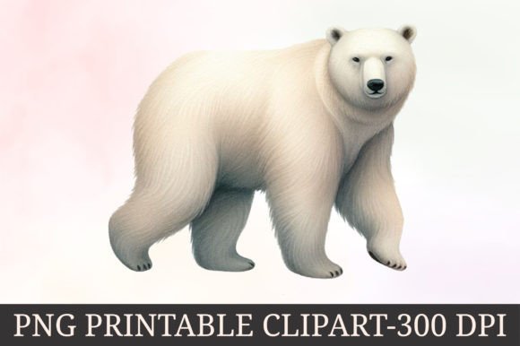 Download Winter Arctic Animals Clipart - Animal Collection