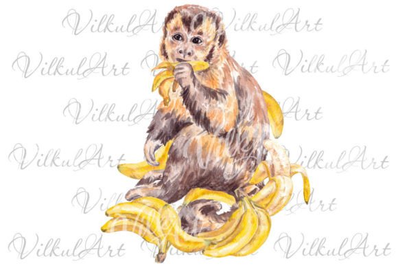 Download Cute Animal Png Monkey Watercolor - Animal Collection