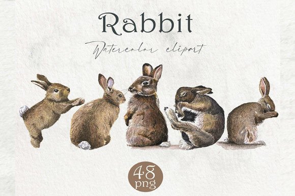Download Watercolor Rabbit, Forest Animals PNG - Animal Collection