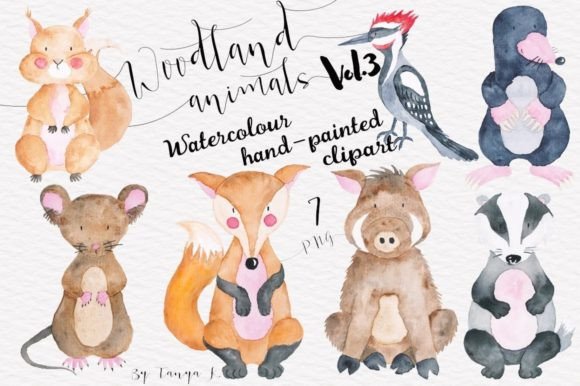 Download Watercolor Cute Woodland Animals - Animal Collection