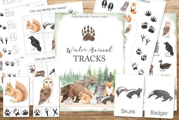 Download Winter Animal Tracks Unit Study - Animal Collection