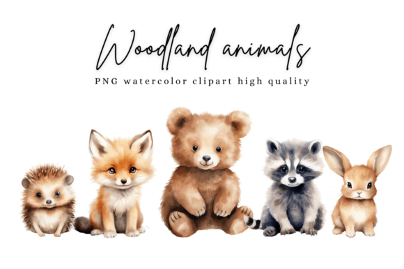 Download Animals Cute Woodland Watercolor Clipart - Animal Collection