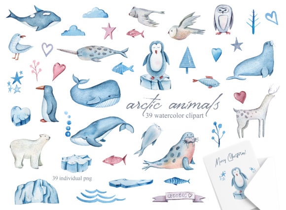 Download Watercolor Arctic Animals Clipart - Animal Collection