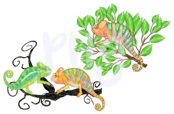 Download Chameleon Leaves Nature Png Animal Art - Animal Collection