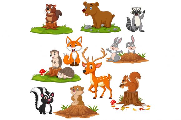Download Set of Cute Cartoon Woodland Animals - Animal Collection
