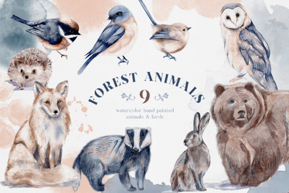 Download Watercolor Forest Animals Birds Owl - Animal Collection