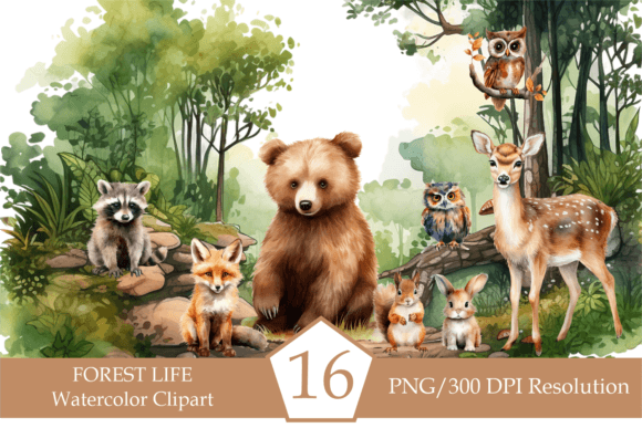Download Watercolor Forest Animals - Animal Collection
