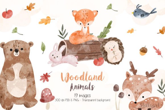 Download Watercolor Woodland Animals - Animal Collection