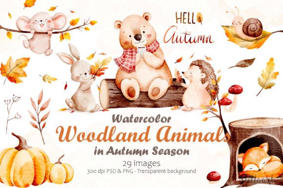 Download Watercolor Woodland Animals in Autumn - Animal Collection