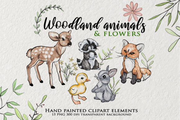 Download Watercolor Woodland Animals Clipart - Animal Collection