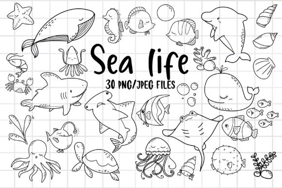 Download Sea Life Clipart, Ocean Animal PNG - Animal Collection