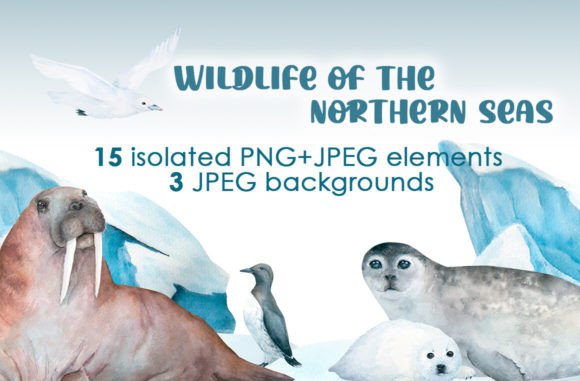 Download Watercolor Arctic Animals Clipart - Animal Collection
