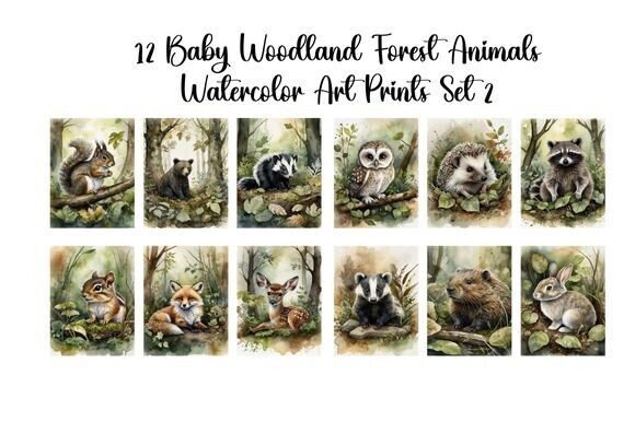 Download Baby Woodland Forest Animals Set 2 - Animal Collection