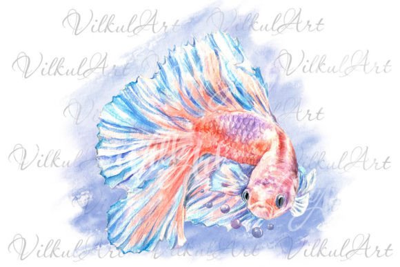 Download Cute Animal Png Watercolor Clipart Fish - Animal Collection