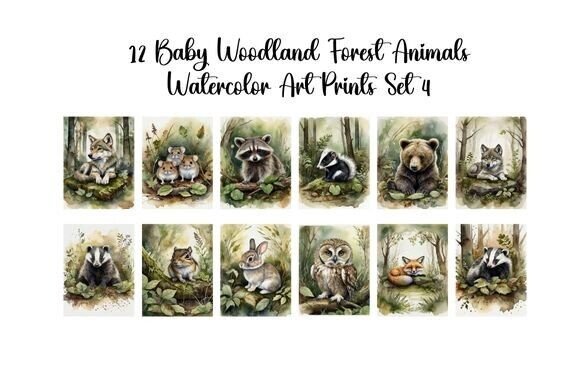 Download Baby Woodland Forest Animals Set 4 - Animal Collection