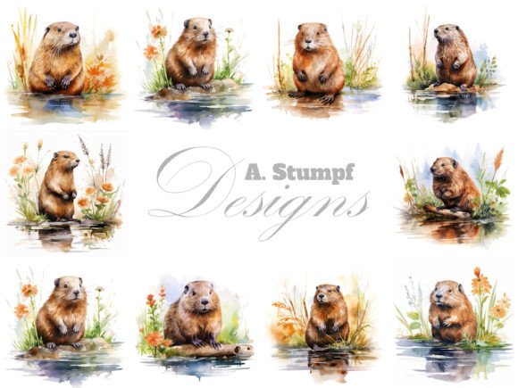 Download Beaver Clipart Watercolor Animal Bundle - Animal Collection