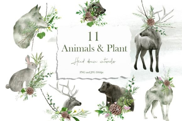 Download Watercolor Forest Animals &amp; Wildflowers - Animal Collection