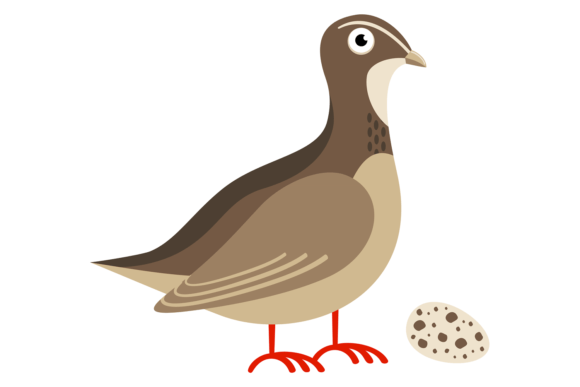 Download Quail Bird with Egg. Cartoon Animal. Wil - Animal Collection