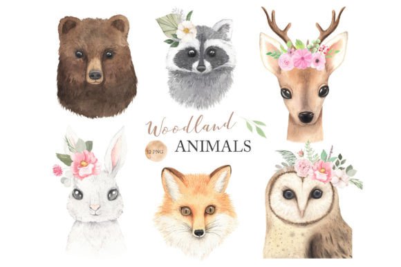 Download Watercolor Woodland Animals Clipart - Animal Collection