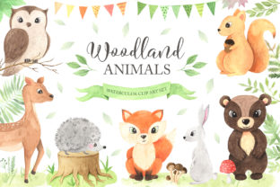 Download Watercolor Woodland Animals Set - Animal Collection