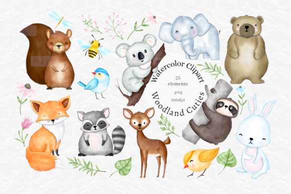 Download Cute Watercolor Woodland Animals Clipart - Animal Collection