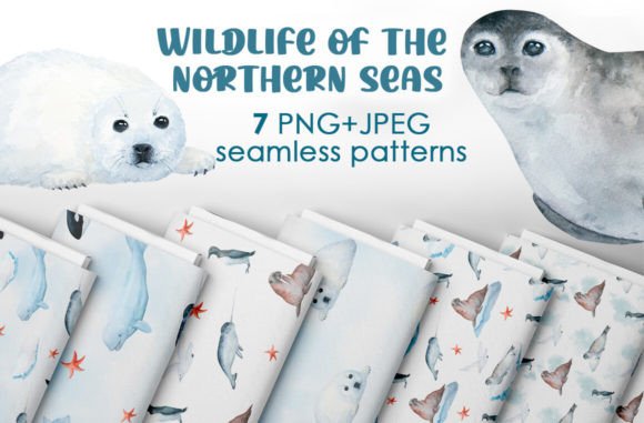 Download Watercolor Arctic Animals Patterns - Animal Collection