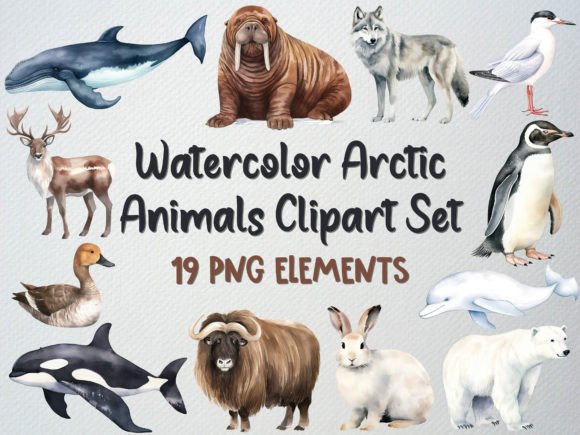 Download Watercolor Arctic Animals Clipart Set - Animal Collection